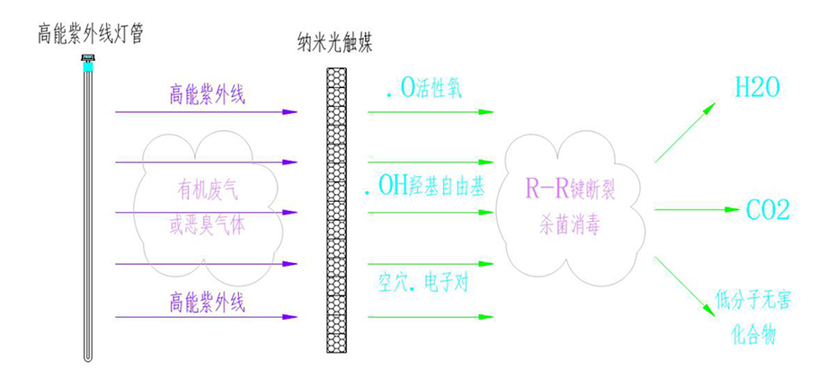 除臭降解圖.jpg